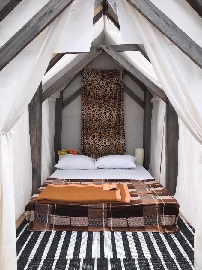 Terre Terrace Glamping - Doichang Ban Huai Khai Eksteriør billede